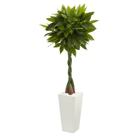 NEARLY NATURAL 5.5 ft. Money Artificial Tree in White Tower Planter - Real Touch 5737